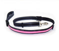 Load image into Gallery viewer, Fluorescent dog collar
