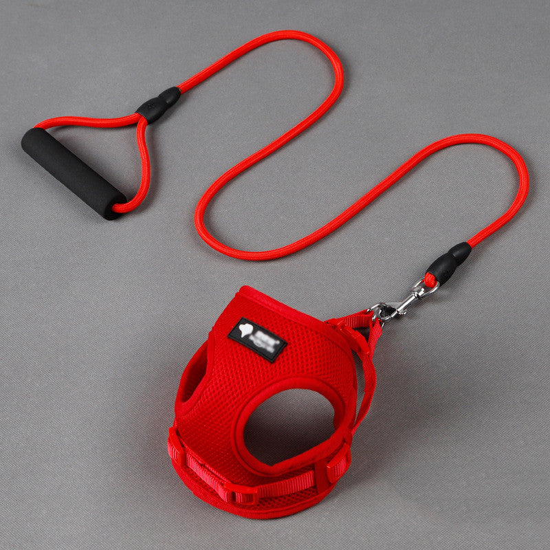Close-up of red mesh harness and matching leash on gray background