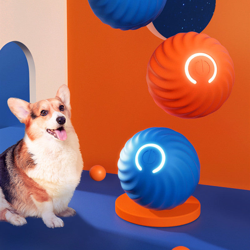 Blue and orange LED interactive jumping balls in playful setting with dog