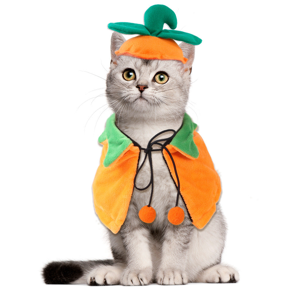 Gray cat wearing an orange pumpkin cloak with green collar and tie string, paired with a matching pumpkin hat shaped like a pumpkin top with leaf detail, sitting and facing forward.