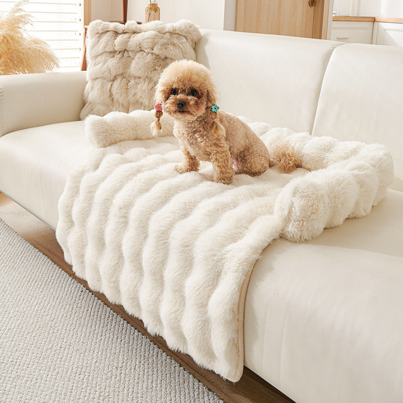 Small poodle sitting on ivory white plush dog mat on white sofa with matching decorative pillow