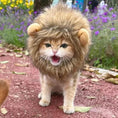 Load image into Gallery viewer, Pet Cat Decor Accessories Lion Wig Fancy Hair Caps Pet Supplies Cute Lion Headgear Cat Hat Mane Wig For Dogs And Cat Small Dog
