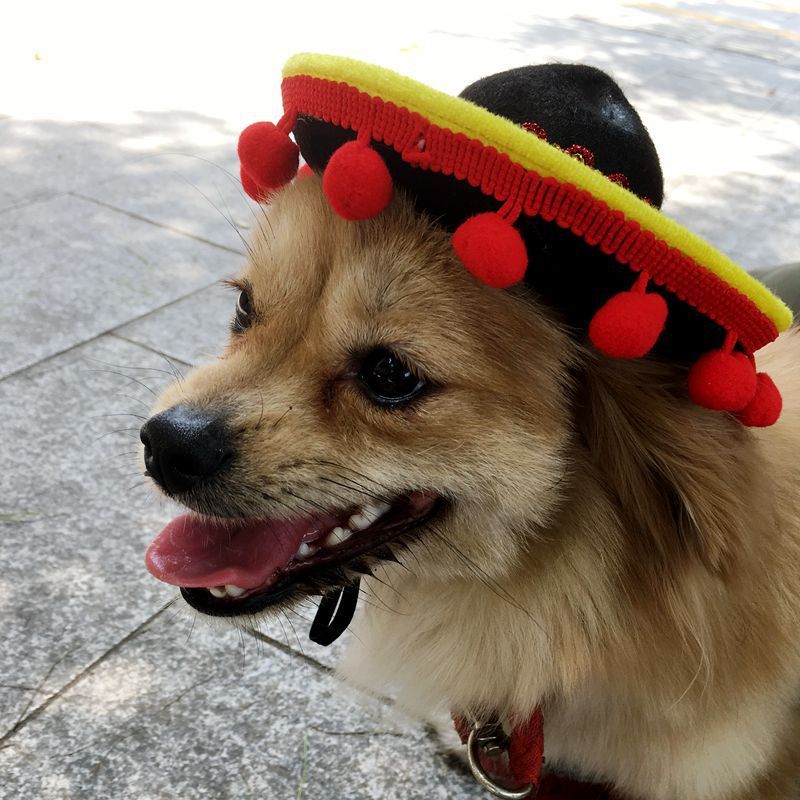 Mexican style dog hats