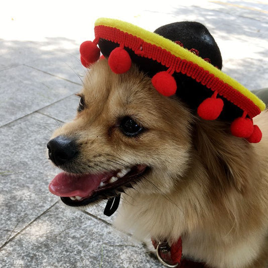 Mexican style dog hats
