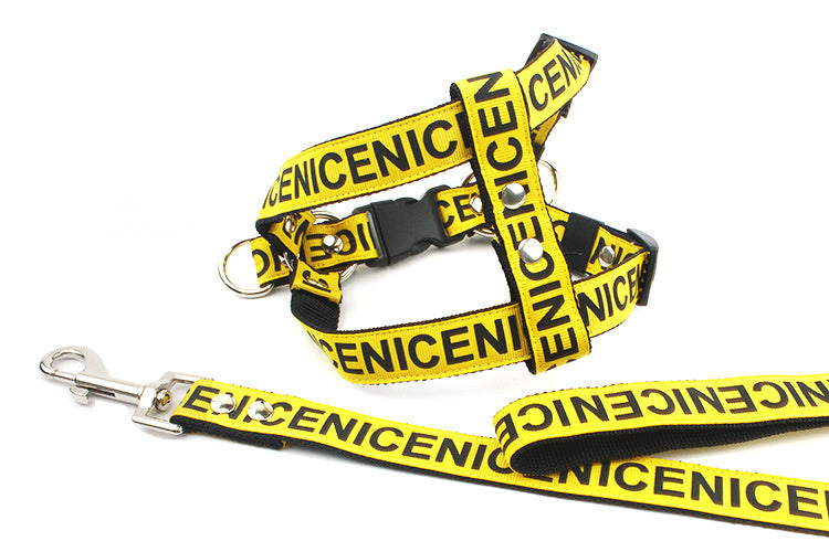 Yellow dog leash with metal clip and matching yellow harness with black accents