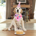 Cargar la imagen en la vista de la galería, Dog Birthday Party Supplies
