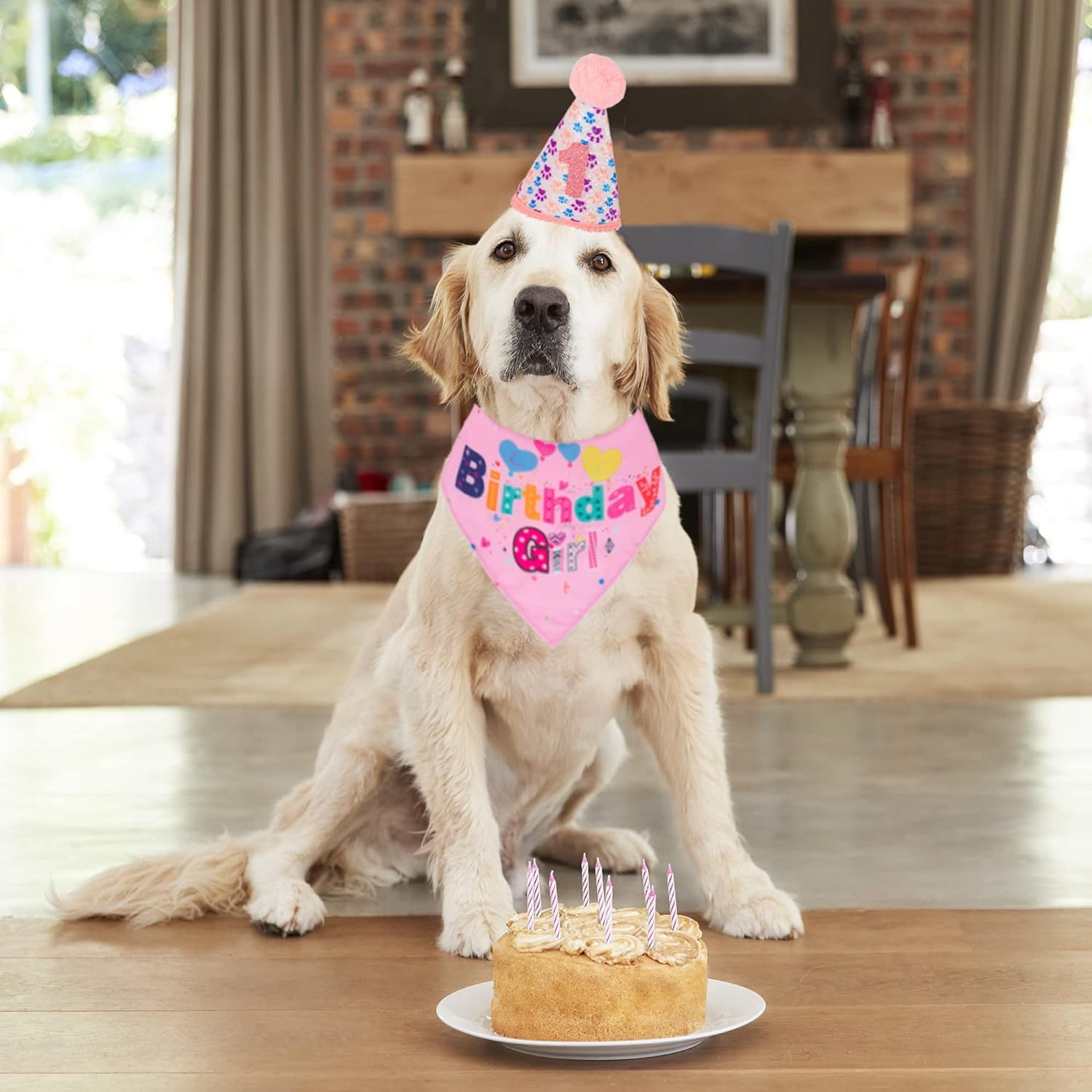 Dog Birthday Party Supplies