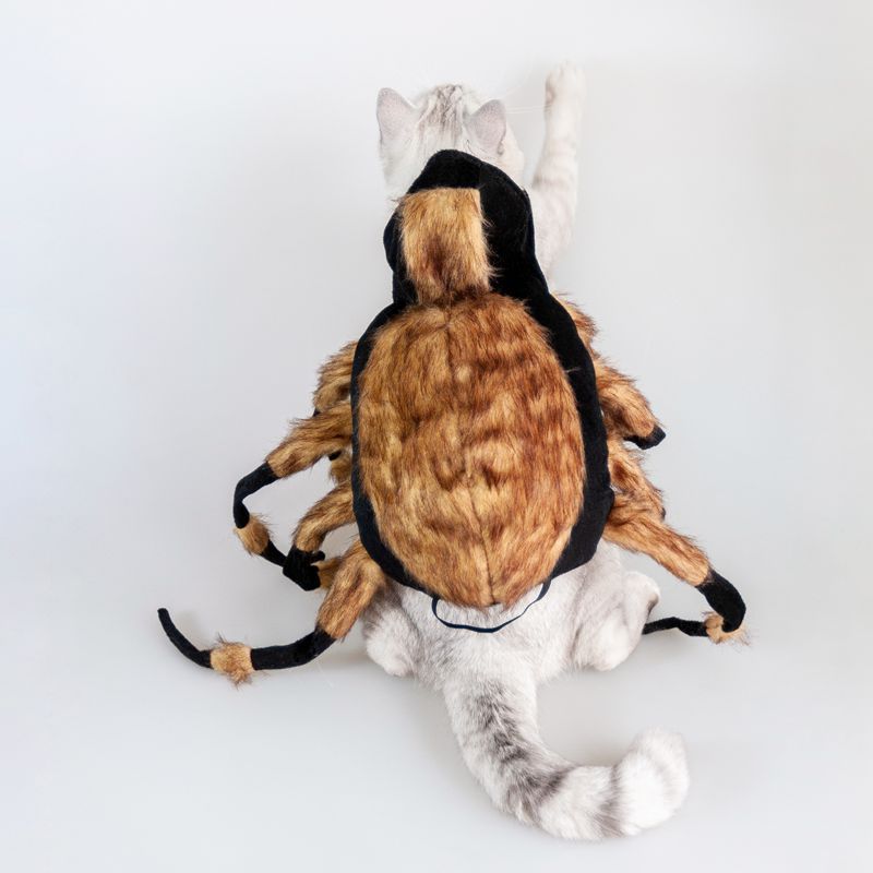 Back view of white cat in spider costume showing fuzzy spider back and multiple legs