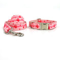 Load image into Gallery viewer, Pink dog collar and leash set isolated on white background with leash coiled neatly
