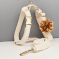 Load image into Gallery viewer, Dog harness with adjustable straps and matching leash made from lace polyester
