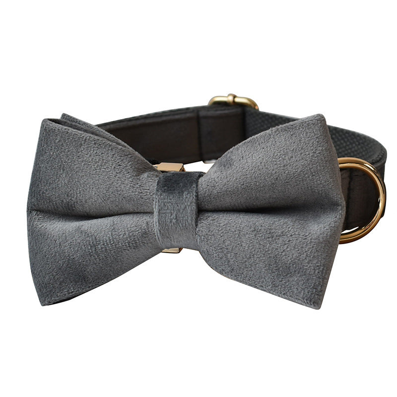 Close-up of gray velvet dog collar with bow tie and gold-tone D-ring