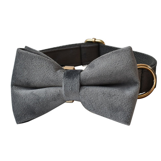 Close-up of gray velvet dog collar with bow tie and gold-tone D-ring