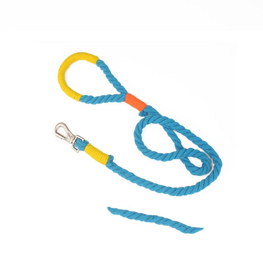 Blue and yellow twisted rope dog leash with metal clip and handle loop