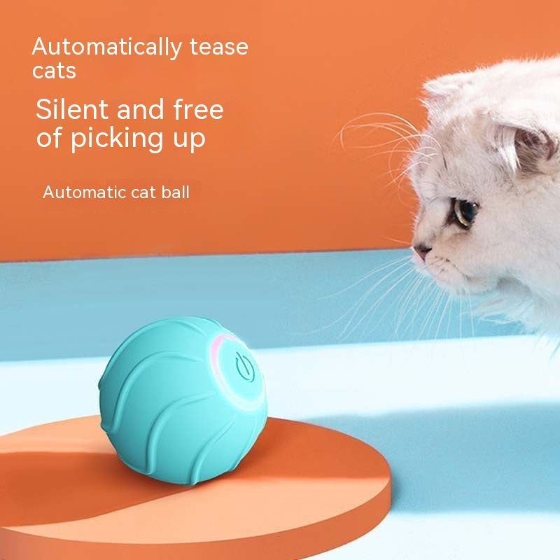 Blue automatic cat toy ball with LED power button next to a curious white cat