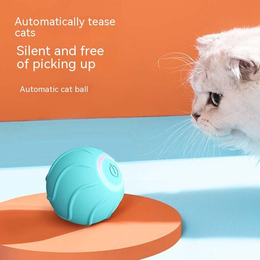 Blue automatic cat toy ball with LED power button next to a curious white cat