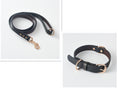 Load image into Gallery viewer, Black PU leather dog leash with rose gold metal clasp and colored stitching
