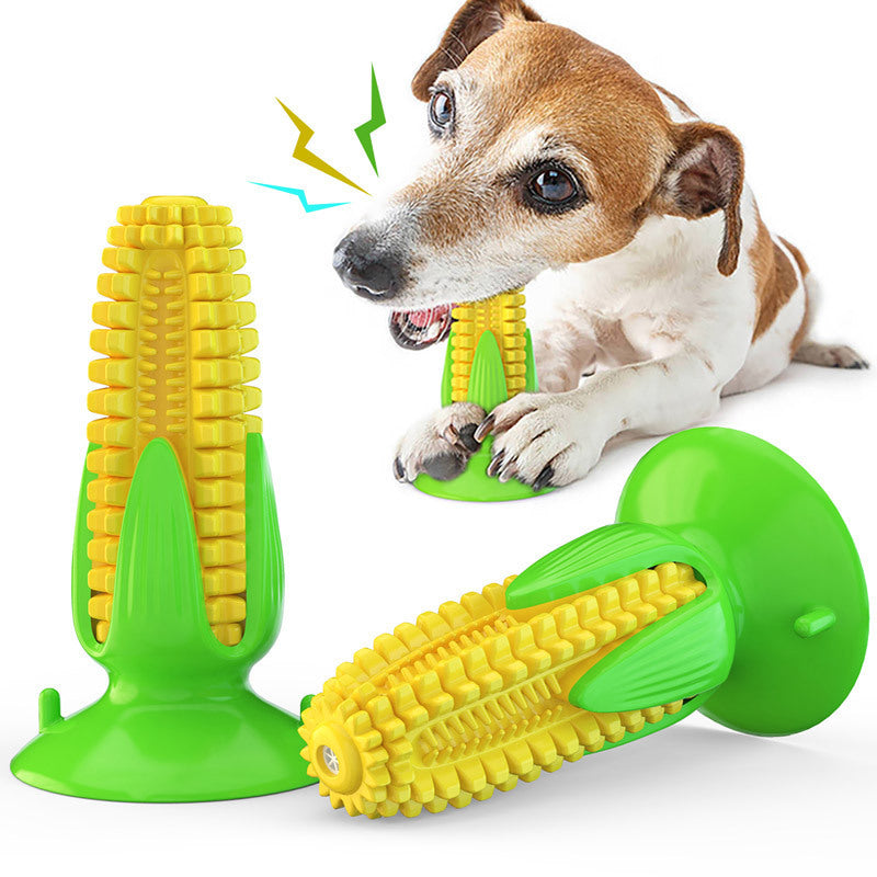 White and black spotted dog holding yellow corn chew toy with suction cups
