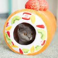 Load image into Gallery viewer, Gray cat peeking out from inside the plush cake roll cat tunnel with fruit decoration
