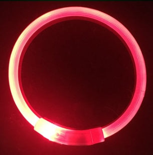 Close-up of red glowing LED dog collar in dark