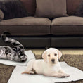 Charger l'image dans la visionneuse de la galerie, Light-colored puppy and gray tabby cat resting on white self-heating pet blanket mats in front of a brown sofa inside a living room.
