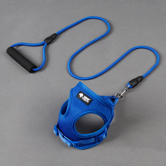 Blue mesh dog harness with foam-handle leash laid flat
