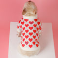 Charger l'image dans la visionneuse de la galerie, Schnauzer Small Dog Cat Knitted Sweater
