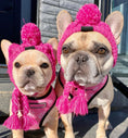 Load image into Gallery viewer, Wool Ball Thermal And Windproof Puffy Ball Knitted Dog Hat
