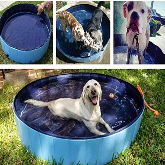 Dogs playing in blue foldable dog pool filled with water