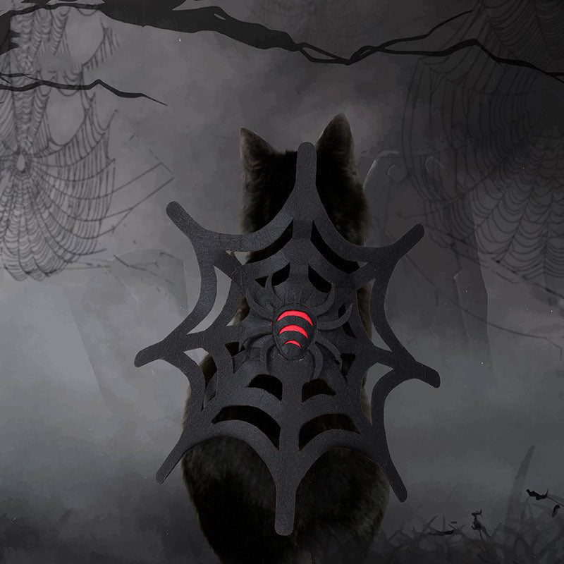 Black cat wearing black felt spider web Halloween costume with red spider detail, posed against spider web background