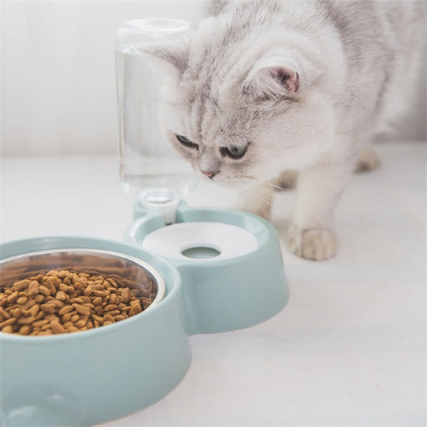 Gray cat drinking water from green automatic pet feeding station with stainless steel food bowl