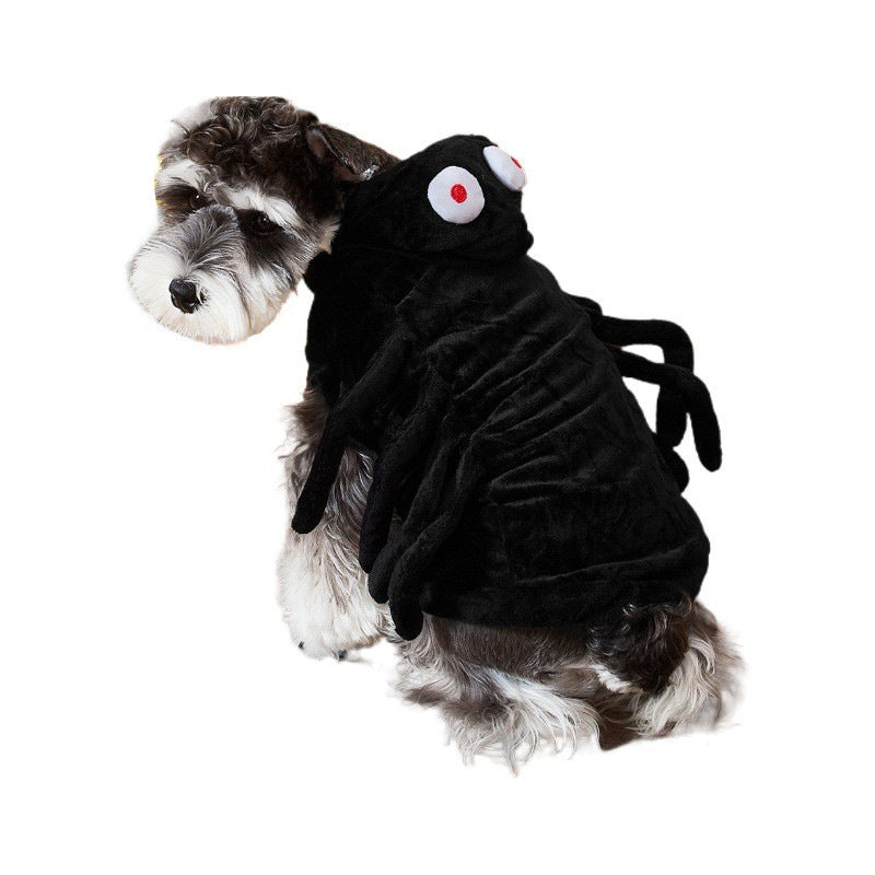 Small dog modeling black plush spider hoodie with close-up on texture and hood eyes
