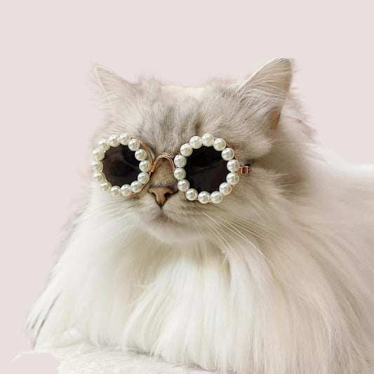 Cat And Dog Pearl Party Sunglasses