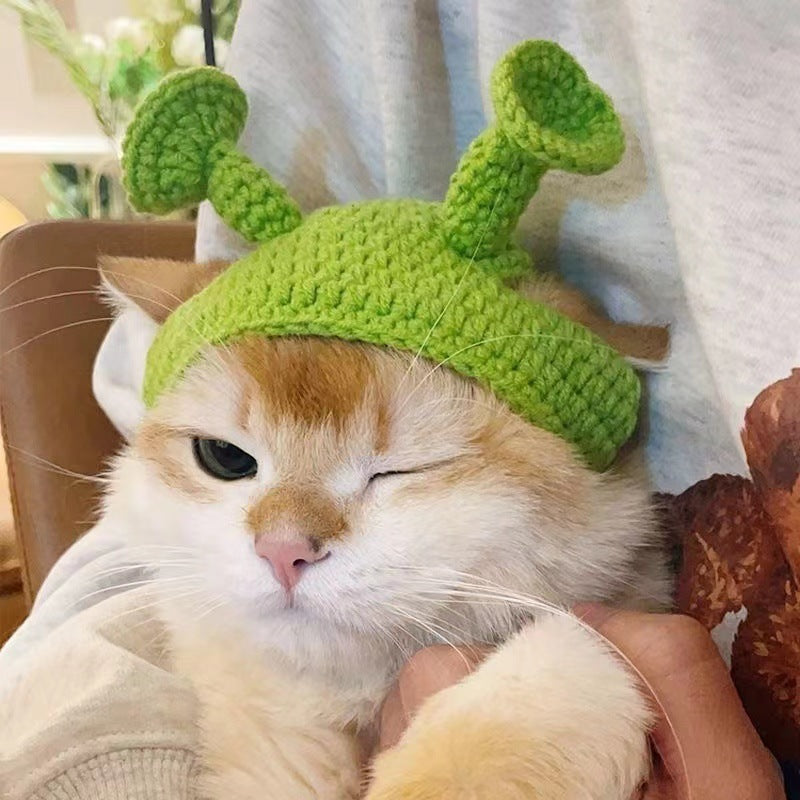 The Boss Pets