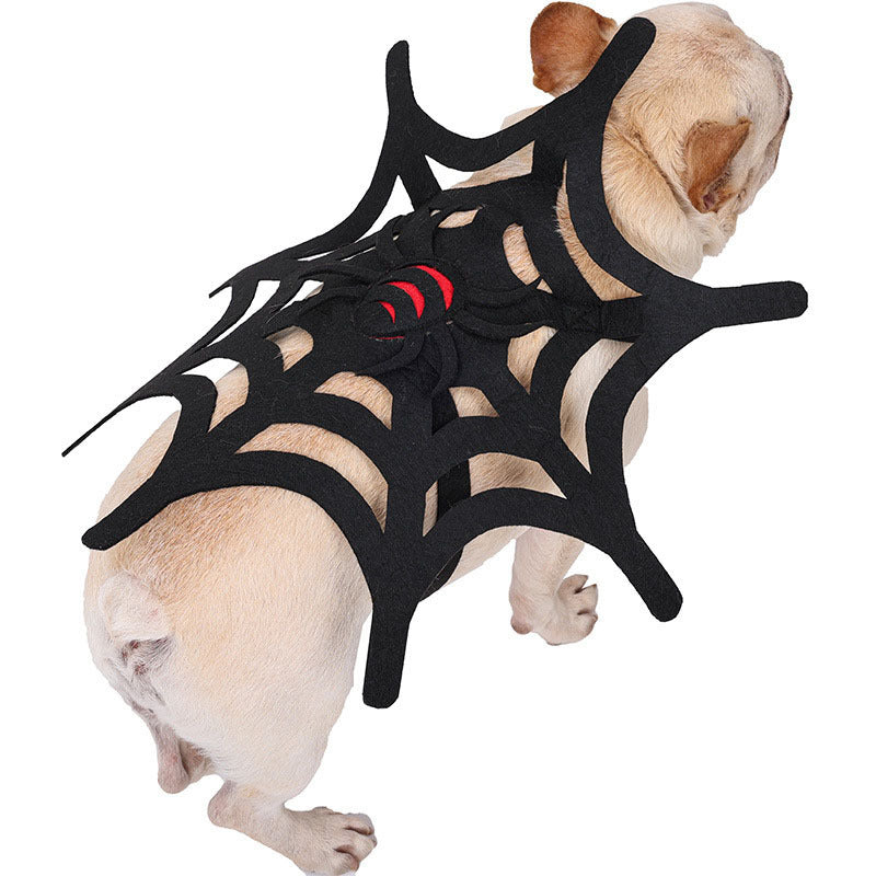Small beige dog standing, wearing black felt spider web costume with red spider detail, shown in profile on white background