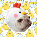 Load image into Gallery viewer, Pet Styling Video Creative Pet Supplies Cute Dog Hat

