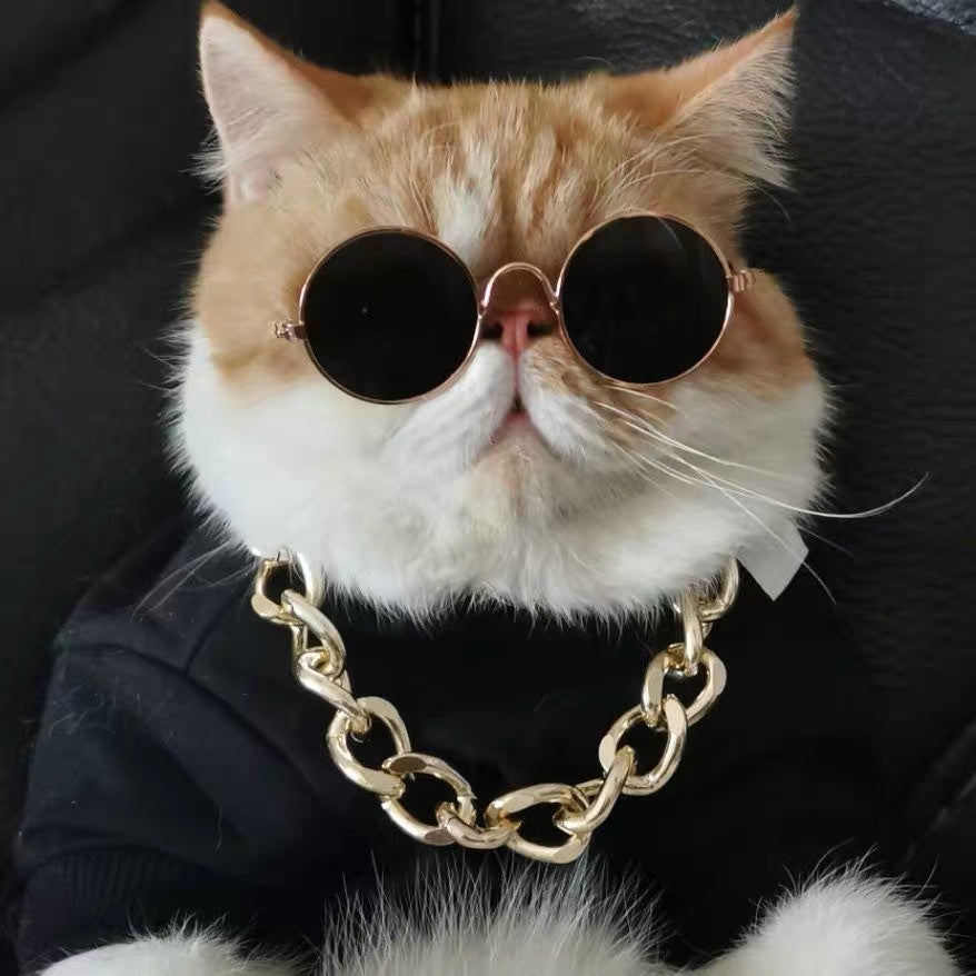 Orange-white cat wearing round black sunglasses and gold chain necklace