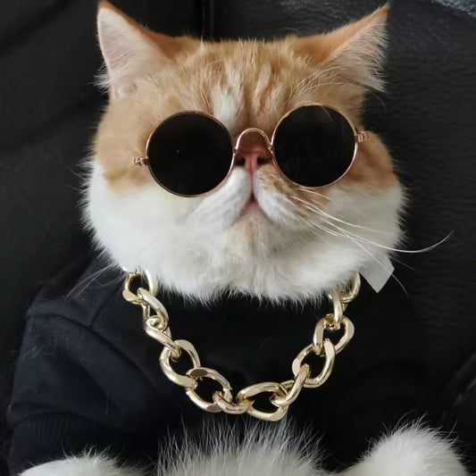 Orange-white cat wearing round black sunglasses and gold chain necklace