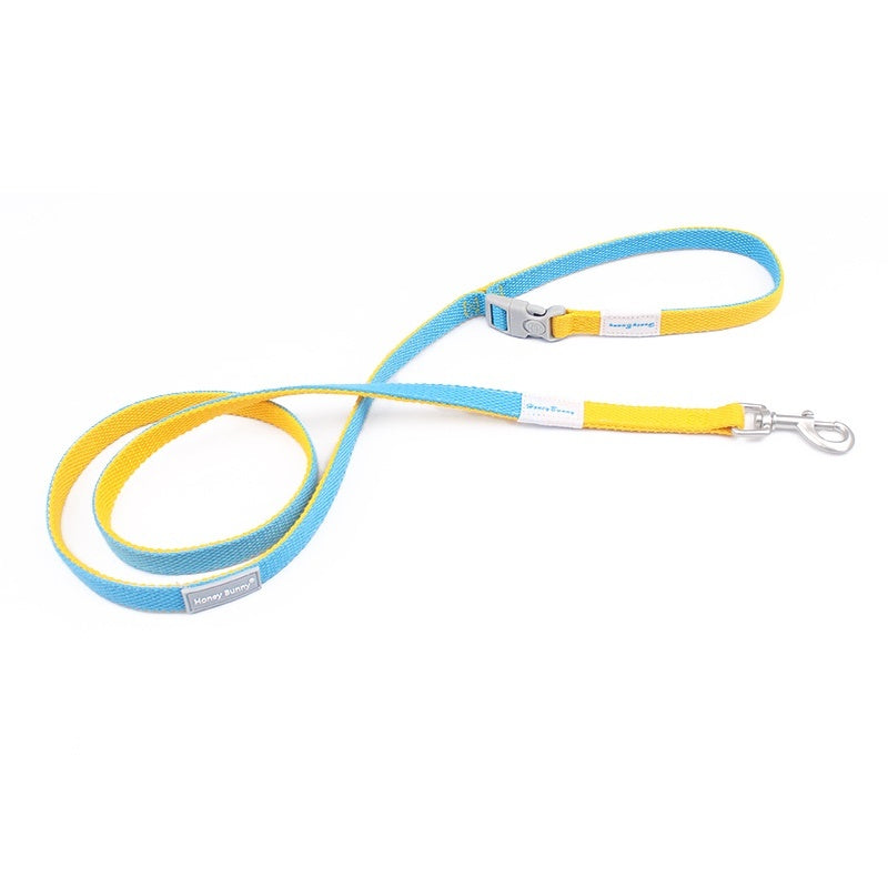 Yellow and blue twisted rope dog leash coiled with clip and handle loop