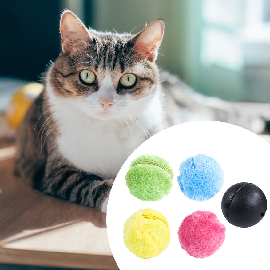 Close-up of a cat next to black robotic core ball and four colorful microfiber covers in green, blue, yellow, and pink