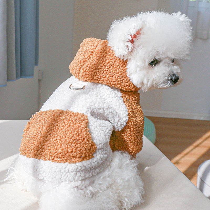 Small white dog wearing burnt orange and white lamb fleece sweater with hood and back leash ring