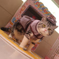 Load image into Gallery viewer, Detective Clothes Cloak Hat Suit Funny Cat Dog Clothes
