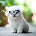 Load image into Gallery viewer, Doll Sunglasses Pet Toy Accessories
