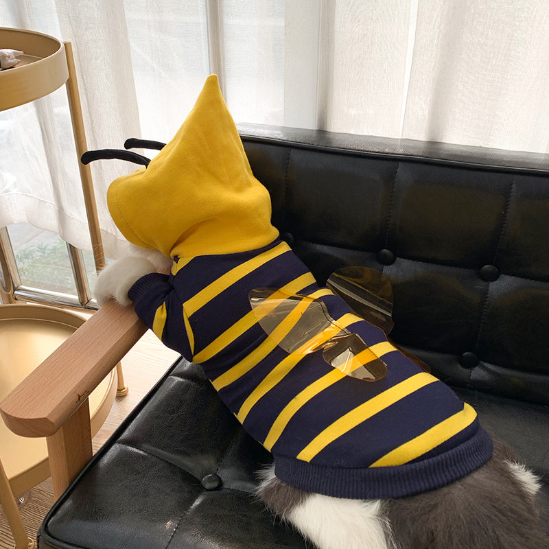 Cat lounging on couch with bee hoodie hood up showing antennae and wings