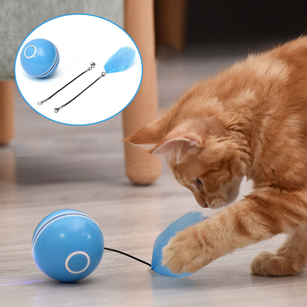 Orange tabby cat playing with blue LED light cat toy ball with blue feather attachment on floor