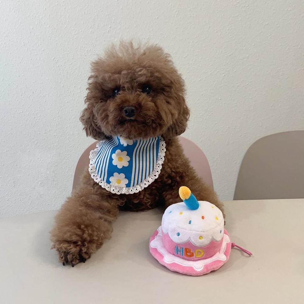 Pink Plush Dog Cake Hat