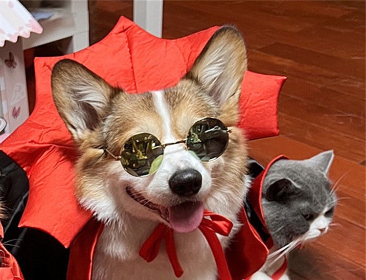 The Boss Pets