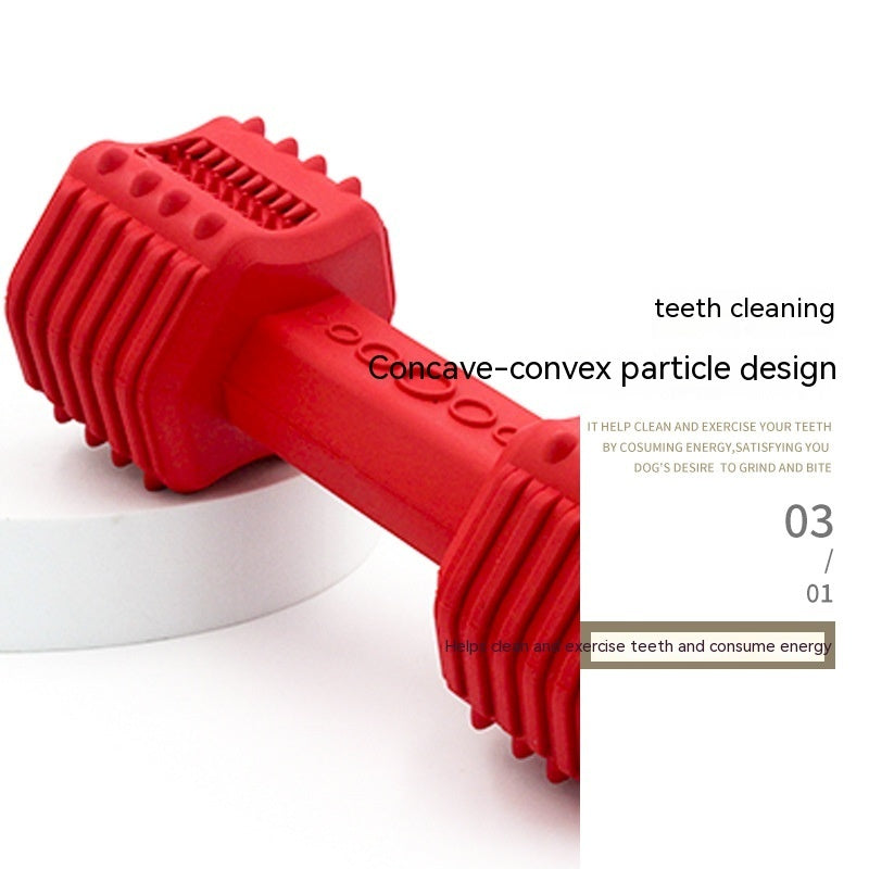 Close-up of red rubber dog chew toy showing concave-convex textured surface for teeth cleaning