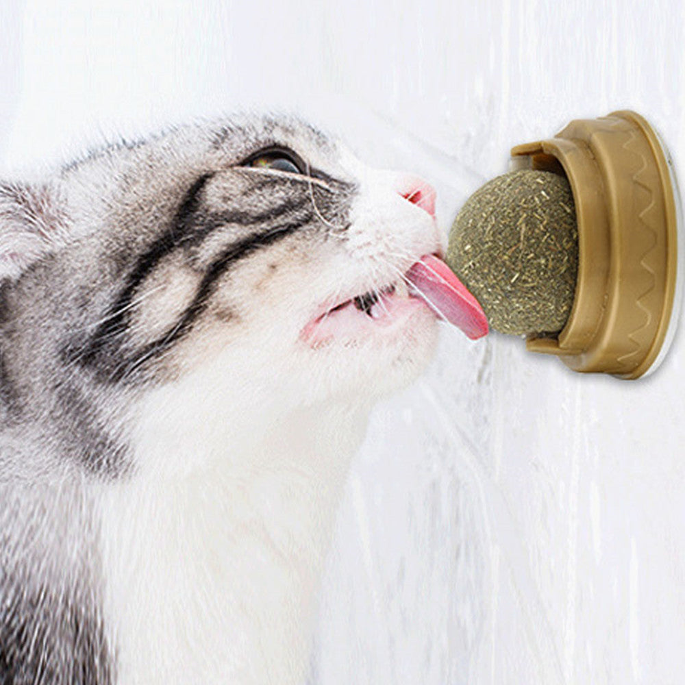 Gray and white cat licking catnip rotary teeth cleaning ball mounted on brown plastic base