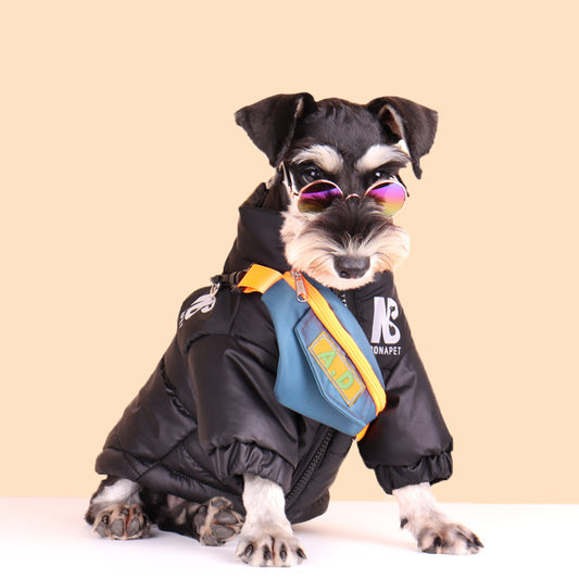 Small dog wearing black warm reflective jacket with attached blue and orange pouch and sunglasses
