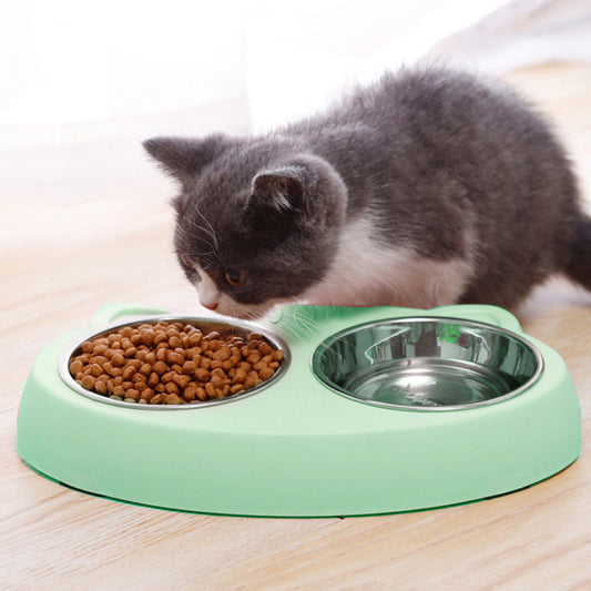 Gray and white kitten eating dry food from stainless steel bowl in mint green plastic stand shaped like a cat face